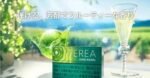 香港TEREA SHINE PEARL青提爆珠IQOS煙彈:圖片 3